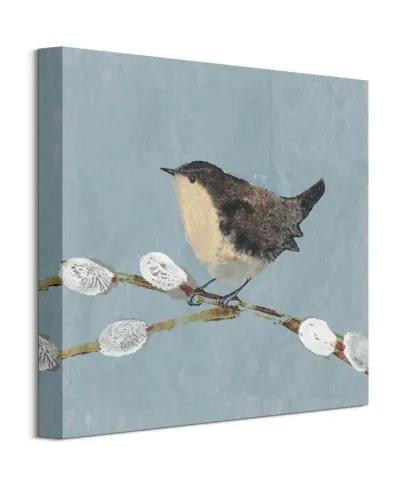 Wren - obraz na płótnie