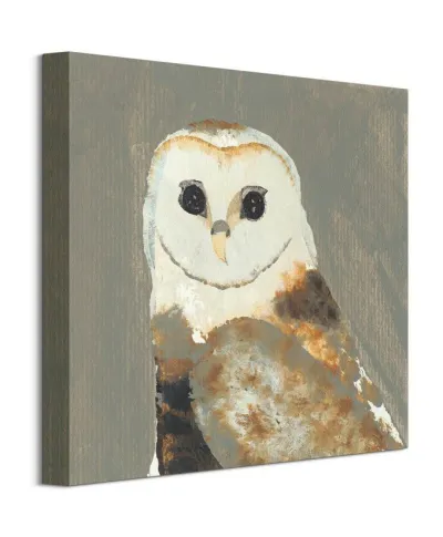 Barn Owl - obraz na płótnie