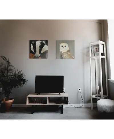Barn Owl - obraz na płótnie