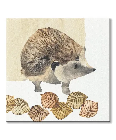 Hedgehog - obraz na płótnie