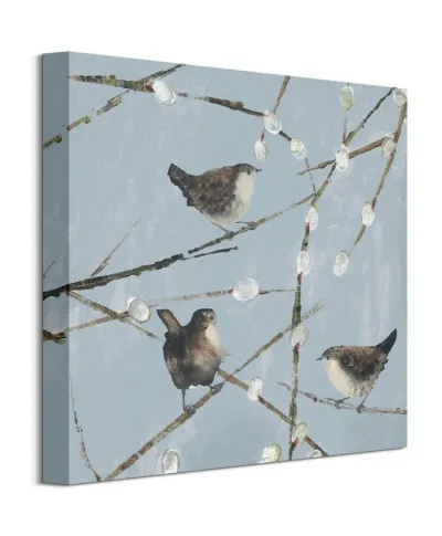 Wrens - obraz na płótnie