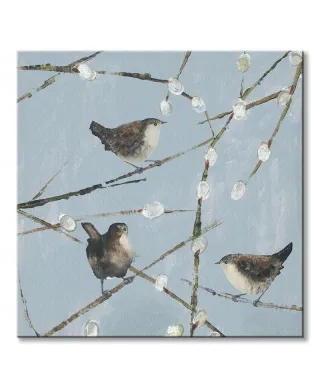 Wrens - obraz na płótnie