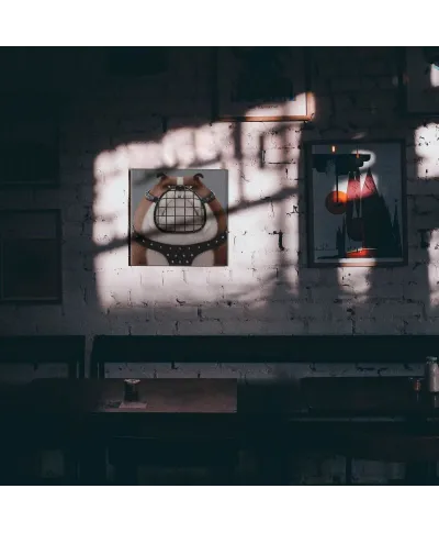 Sekretne życie zwierzaków domowych Ripper - obraz na płótnie