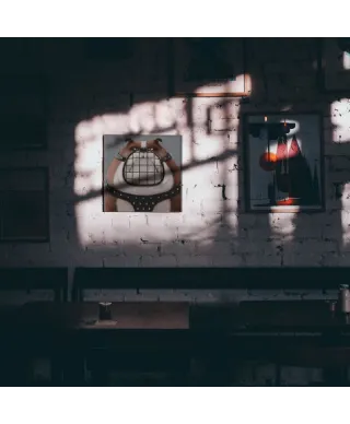 Sekretne życie zwierzaków domowych Ripper - obraz na płótnie