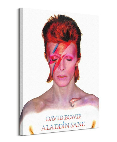 David Bowie Aladdin Sane - obraz na płótnie