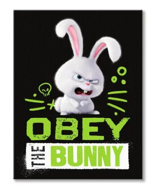 The Secret Life of Pets Bunny - obraz na płótnie