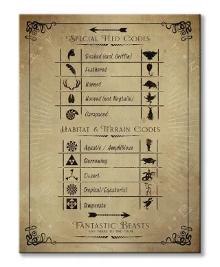 Fantastic Beasts Codes - obraz na płótnie