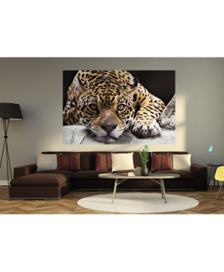 Fototapeta na ścianę - Jaguar - 175x115 cm