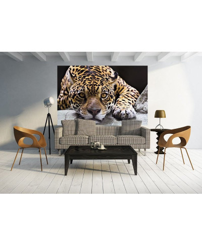 Fototapeta na ścianę - Jaguar - 175x115 cm