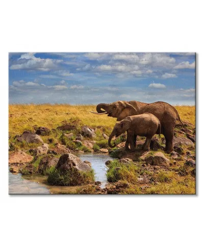 Elephants of Maasai Mara - obraz na płótnie