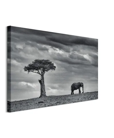 Land of Giants - obraz na płótnie