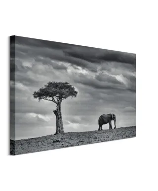 Land of Giants - obraz na płótnie