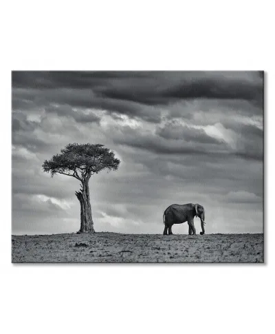 Land of Giants - obraz na płótnie