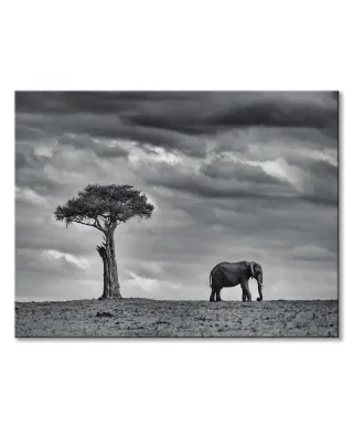 Land of Giants - obraz na płótnie