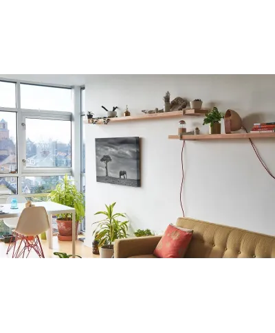 Land of Giants - obraz na płótnie