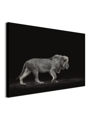 Majestic - obraz na płótnie