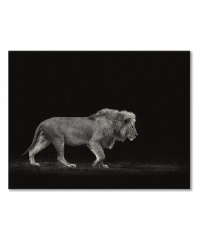 Majestic - obraz na płótnie