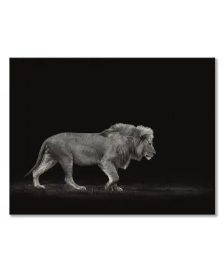 Majestic - obraz na płótnie