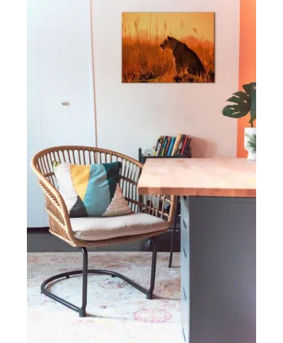 Sunset Stalking - obraz na płótnie