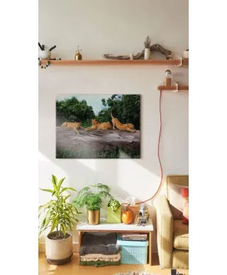 Trzy lwiątka - obraz na płótnie