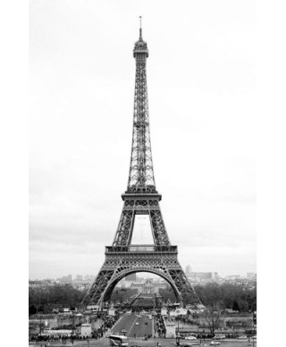 Fototapeta na ścianę - Paryż - Wieża Eiffel - 115x175 cm