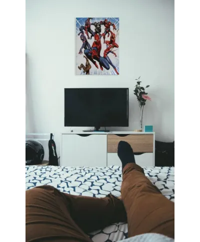 Spider-Man Evolution Burst - obraz na płótnie