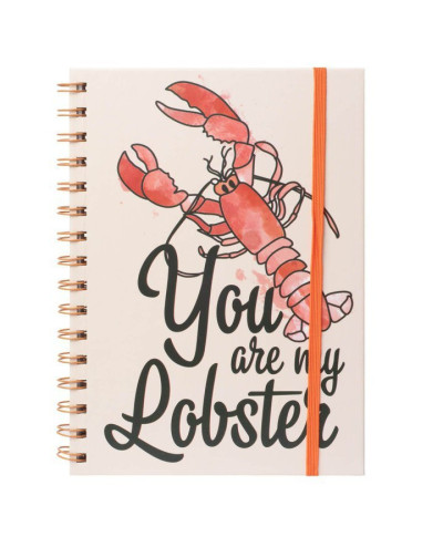Friends You are my Lobster - notes A5