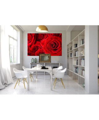 Fototapeta ścienna - Czerwone róże - 175x115 cm