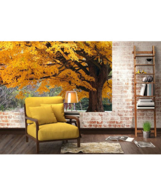 Fototapeta na ścianę - Drzewo, jesienne barwy - 175x115 cm