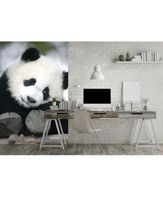 Fototapeta na ścianę - Wielka Panda - 115x175 cm