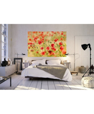 Fototapeta na ścianę - Monet - 175x115 cm