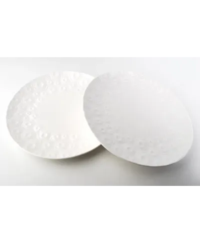 ROSE2 Kpl.2 Talerzy 27cm pł.color box