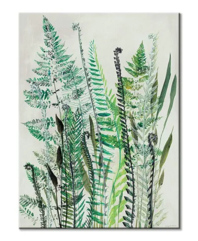 Ferns I - obraz na płótnie