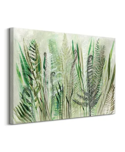 Ferns II - obraz na płótnie