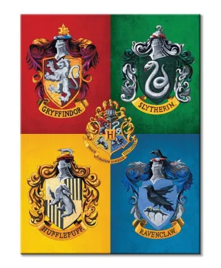Harry Potter Colourful Crests - obraz na płótnie