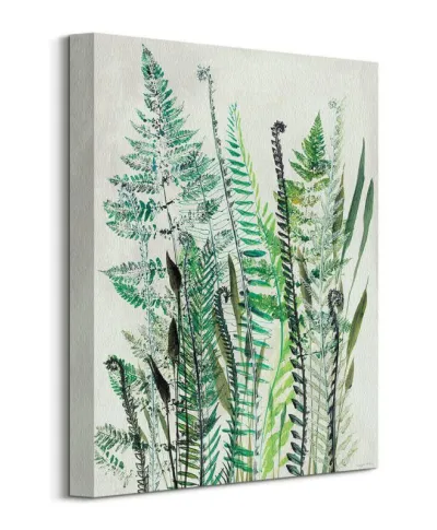 Ferns I - obraz na płótnie