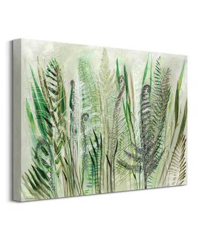 Ferns II - obraz na płótnie