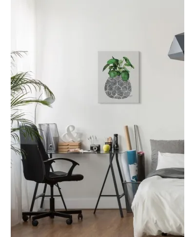 Chinese Money Plant - obraz na płótnie