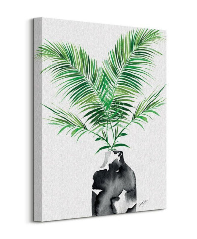 Majesty Palm Plant - obraz na płótnie