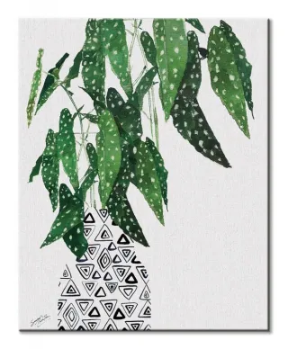 Polka Dot Begonia Plant - obraz na płótnie
