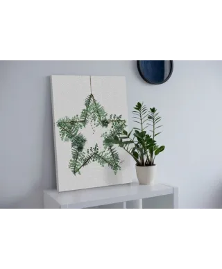 Fern Star - obraz na płótnie