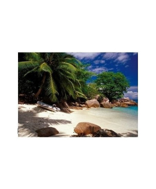 Seychelles - plaża - reprodukcja