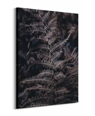Liść Paproci - obraz na płótnie