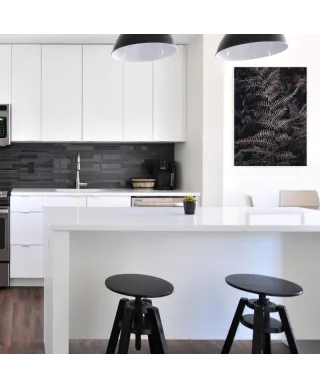 Liść Paproci - obraz na płótnie