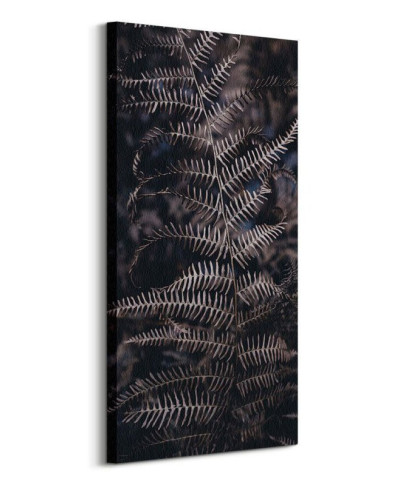 Liść Paproci - obraz na płótnie