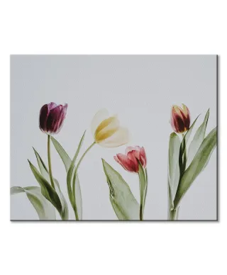 Tulipany - obraz na płótnie