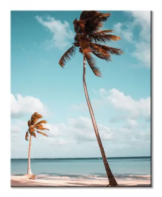 Palmy na plaży - obraz na płótnie