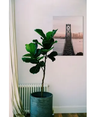 Most w San Francisco - obraz na płótnie