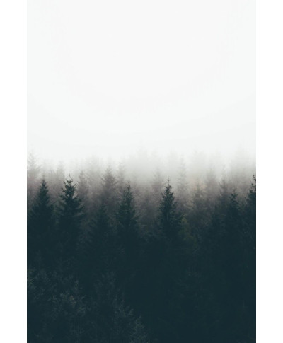 Mgła nad drzewami - plakat