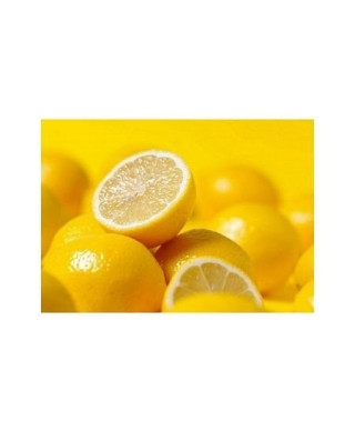Cytryny żółciutkie - reprodukcja